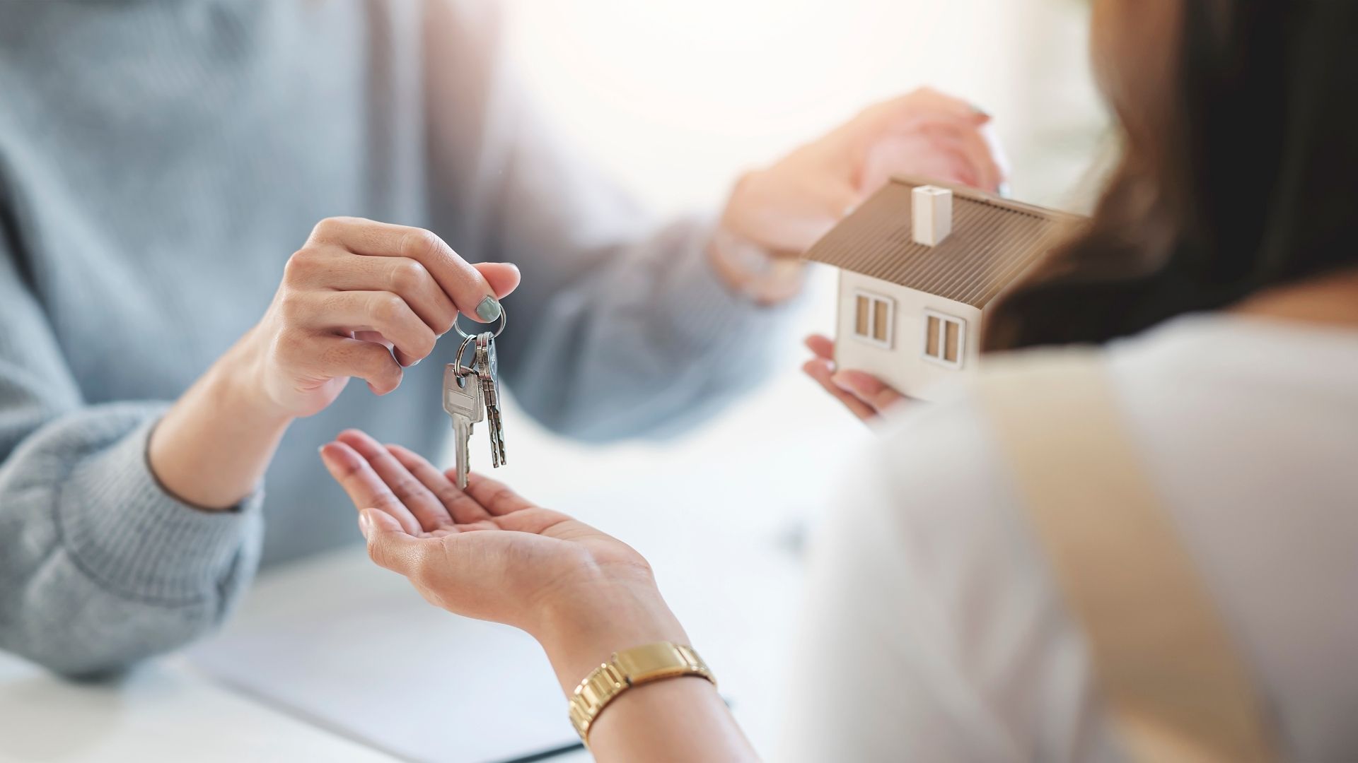 portada contacto planta baja inmobiliaria